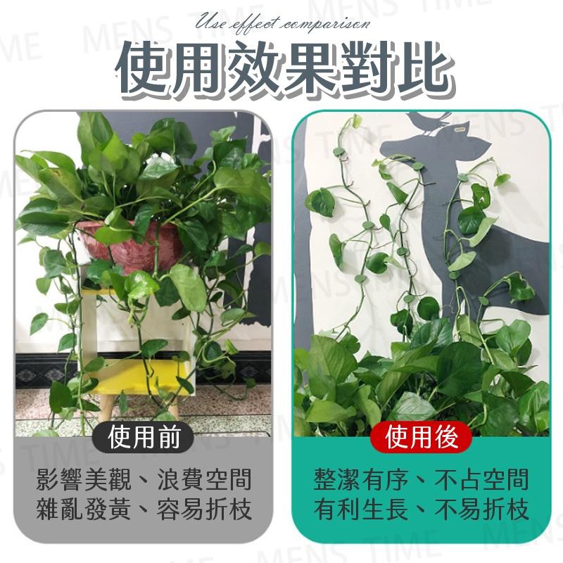 【台灣現貨⚜️免打孔 簡單安裝】藤蔓固定夾 爬藤植物固定器 園藝造景 植物固定器 樹葉造型-細節圖2