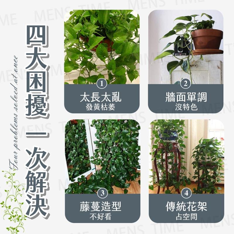 【台灣現貨⚜️免打孔 簡單安裝】藤蔓固定夾 爬藤植物固定器 園藝造景 植物固定器 樹葉造型-細節圖4