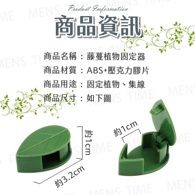 【台灣現貨⚜️免打孔 簡單安裝】藤蔓固定夾 爬藤植物固定器 園藝造景 植物固定器 樹葉造型-細節圖6