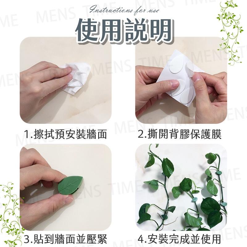 【台灣現貨⚜️免打孔 簡單安裝】藤蔓固定夾 爬藤植物固定器 園藝造景 植物固定器 樹葉造型-細節圖7