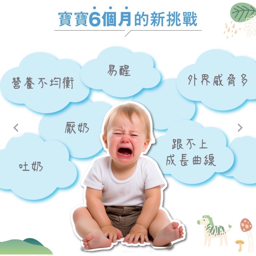 傑立高YO-YO粉寶(瑪特菌酚）-細節圖4