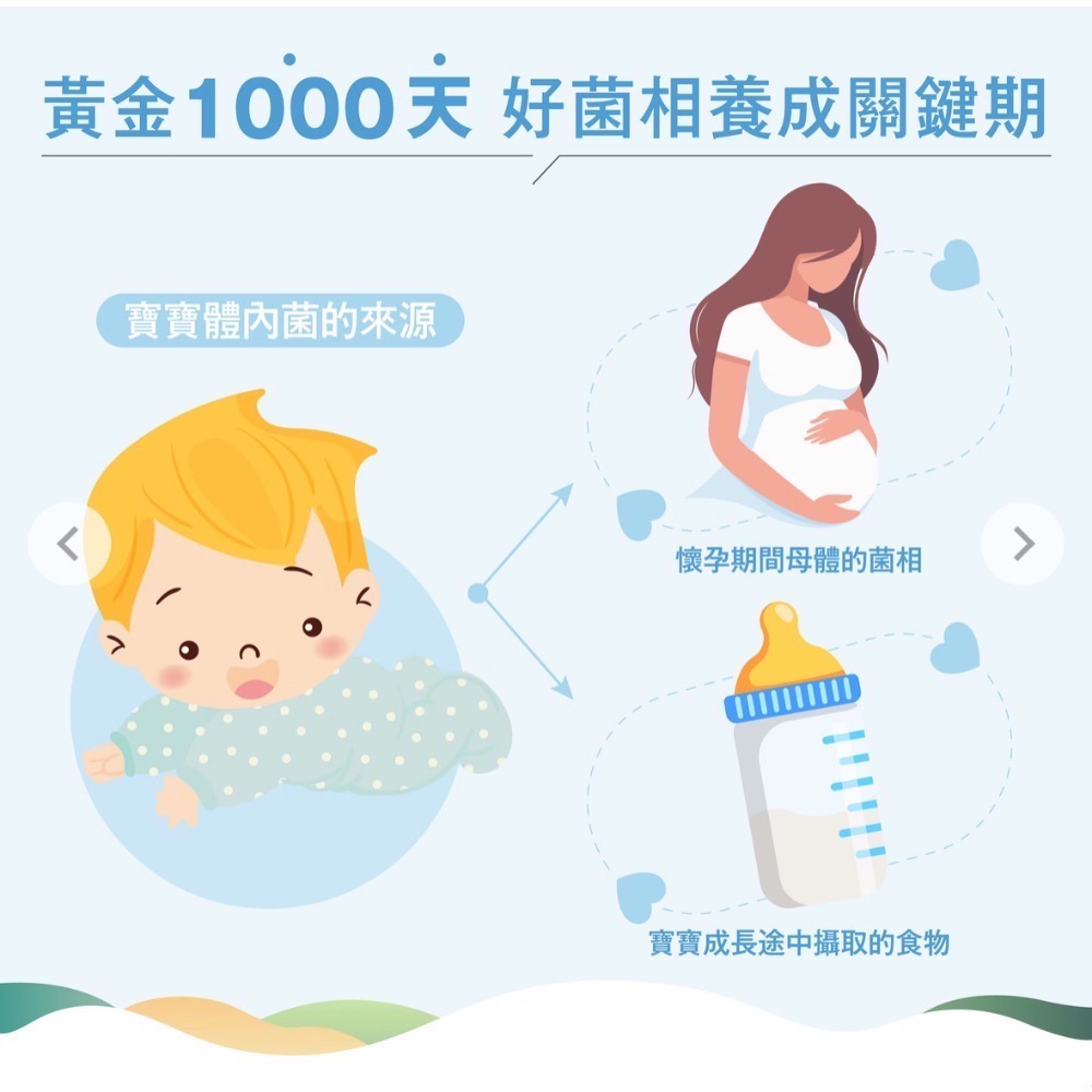 傑立高YO-YO粉寶(瑪特菌酚）-細節圖5