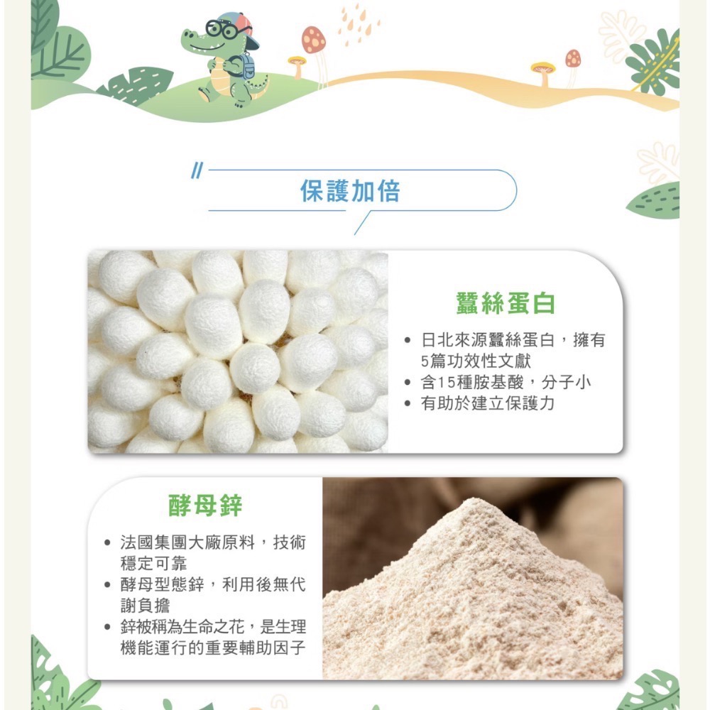 傑立高YO-YO粉寶(瑪特菌酚）-細節圖8