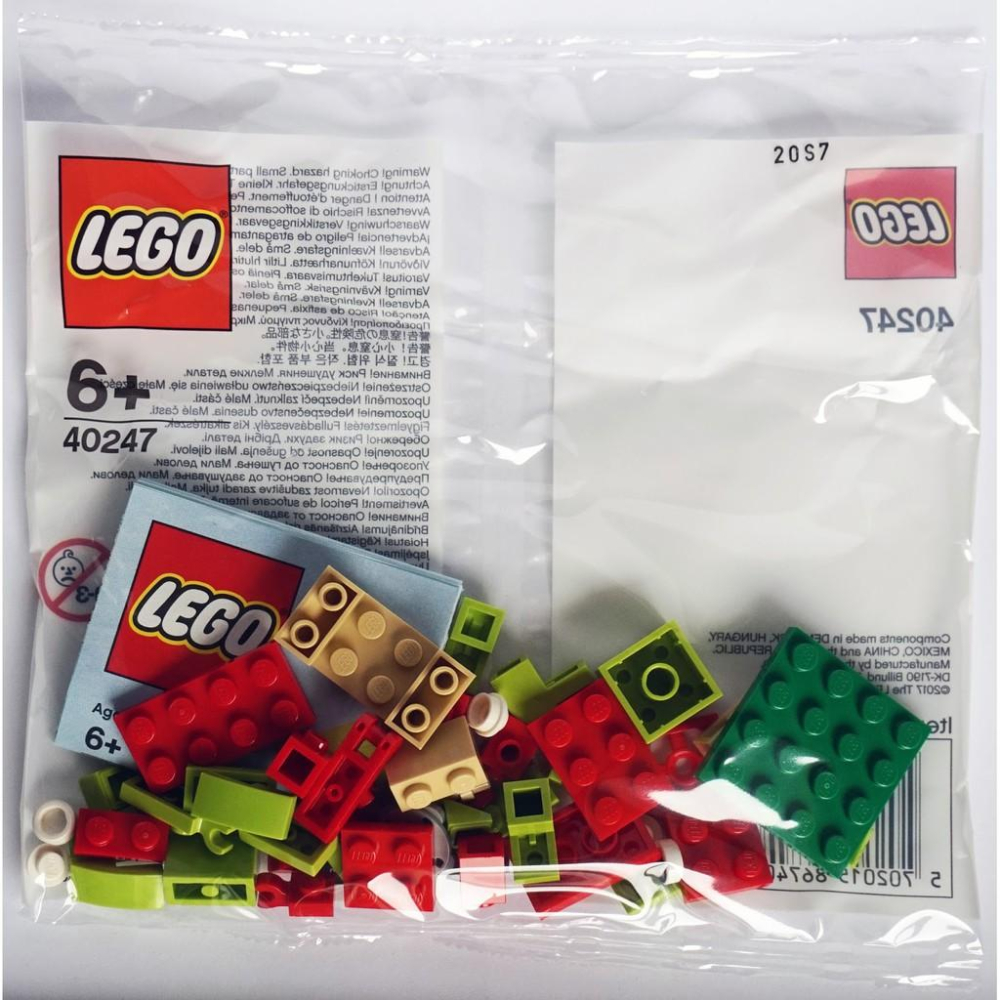 LEGO  樂高 恐龍 Polybag 40247 絕版-細節圖2