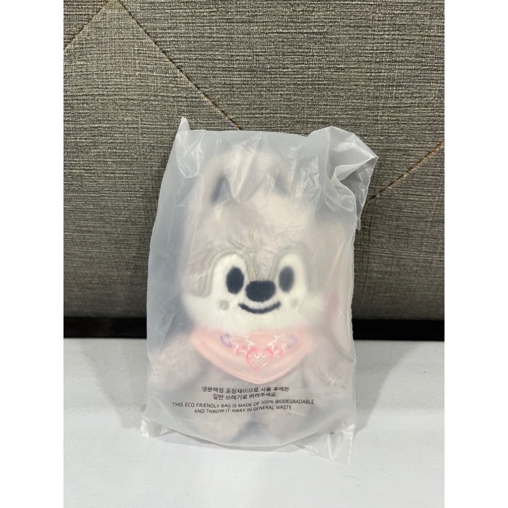 Nocos._.select ⌘ 娃娃區 ⌘Stray kids/貨付請備註否則取消訂單/現貨2天內出貨/官方全新正版-規格圖1