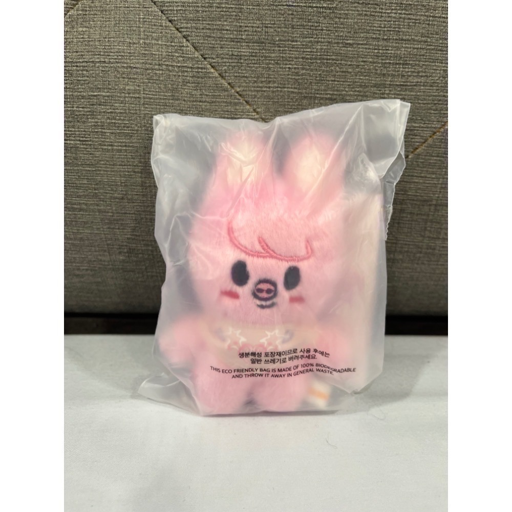 Nocos._.select ⌘ 娃娃區 ⌘Stray kids/貨付請備註否則取消訂單/現貨2天內出貨/官方全新正版-規格圖1