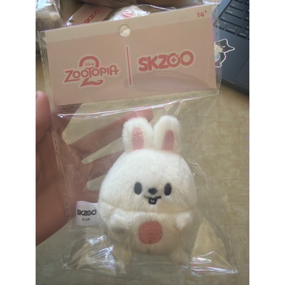 Nocos._.select ⌘ 娃娃區 ⌘Stray kids/貨付請備註否則取消訂單/現貨2天內出貨/官方全新正版-規格圖1