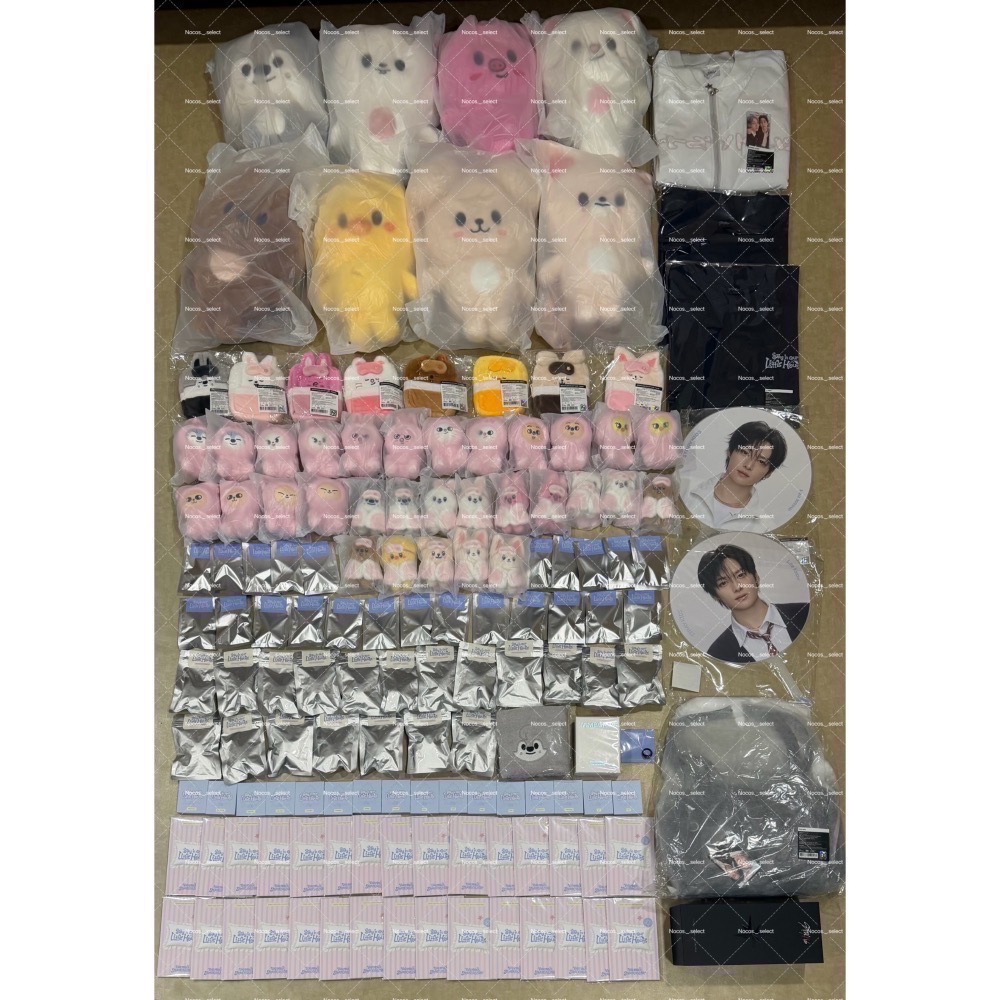 Nocos._.select⌘6期線下場週：賣場一⌘Stray kids/兩週出貨/貨付備註否則取消訂單/官方全新正版-細節圖2
