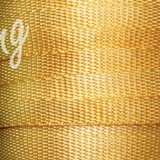 台孟牌 尼龍 扁織帶 10mm 8色 台灣製造 扁繩 水壺帶 寵物項圈 拉繩 打包帶 編織椅 梵谷椅 戶外露營 火燒結尾-規格圖11