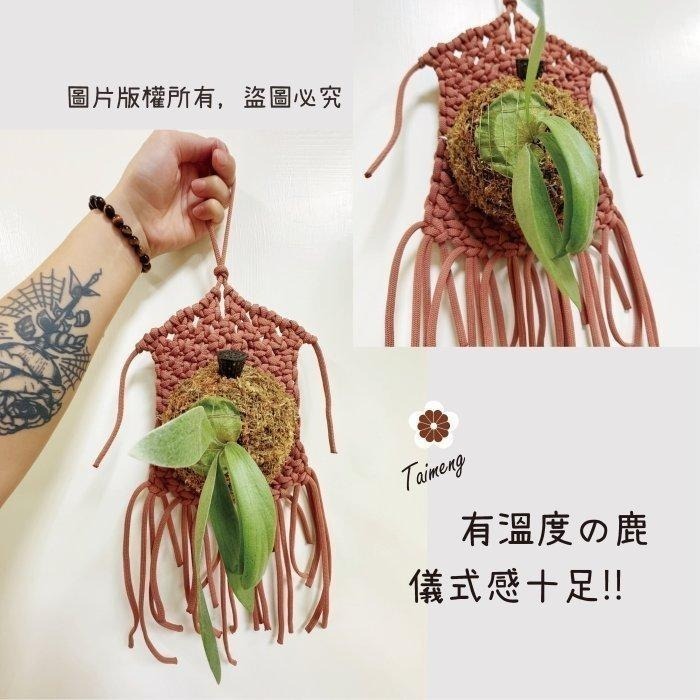 台孟牌 特粗 蓬蓬繩 8mm 20色 台灣製造 冰島毛線 絨毛 編織 粗線條 灌芯棉 Q彈 鹿角蕨 上板 Macrame-細節圖9