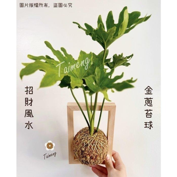 台孟牌 無彈性 1mm 2mm 金蔥繩 銀蔥繩 台灣製造 金線束帶 中秋 禮品禮盒 飾品 吊牌 包裝 串珠 金屬繩 編織-細節圖10