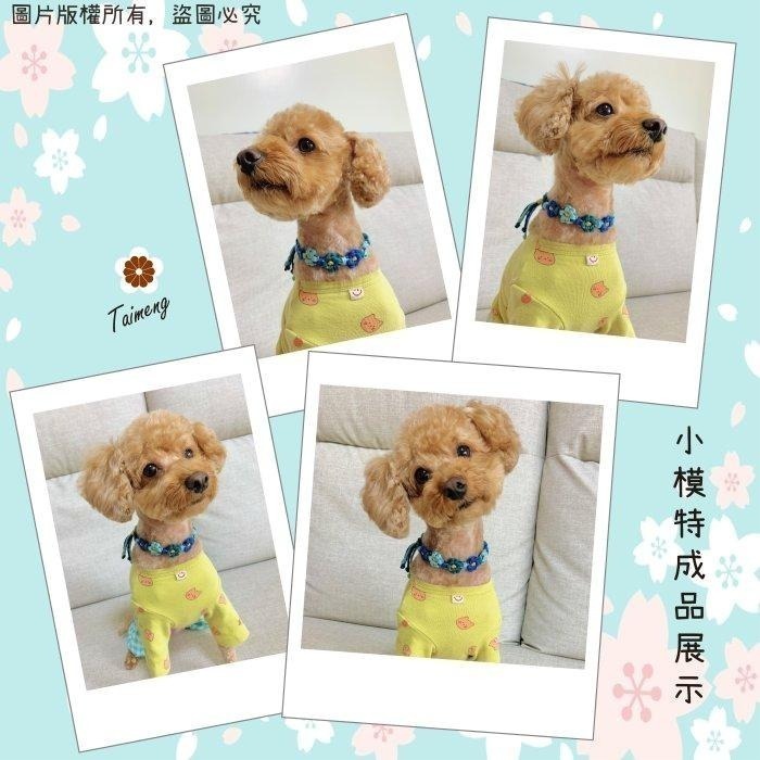 台孟牌 馬編繩 2mm 衝浪配色 小花編織專用線 台灣製造 Macrame 流蘇 手機吊飾 棉線 雛菊 鈎針 花朵 棉繩-細節圖9