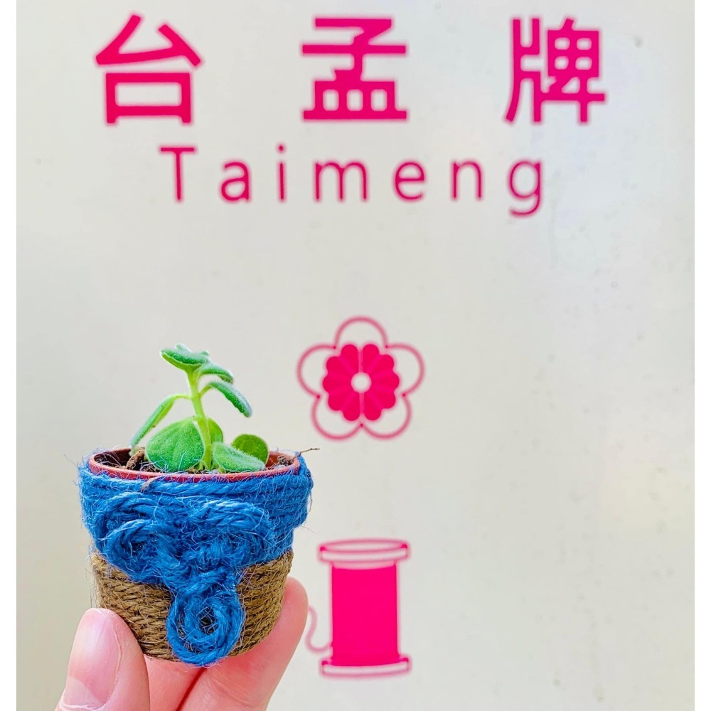 台孟牌 迷你 透明線 釣魚線 台灣製造 鹿角蕨 上板植物 盲針縫 拼布 壓線 串珠 引線 手環 帆布 縫紉線 車縫 手縫-細節圖11