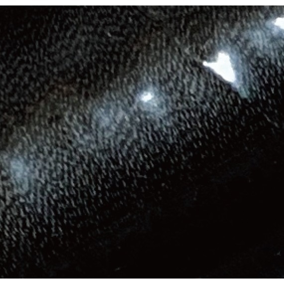 台孟牌 迷你 功能線 #40 高級縫紉線 22色 台灣製造 不透明 尼龍線 魚竿線 綁釣竿 車縫 手縫 刺繡 拼布 電繡-規格圖11