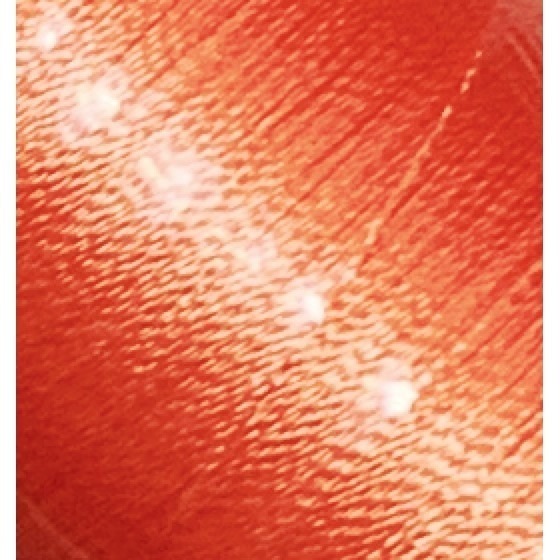 台孟牌 迷你 功能線 #40 高級縫紉線 22色 台灣製造 不透明 尼龍線 魚竿線 綁釣竿 車縫 手縫 刺繡 拼布 電繡-規格圖11