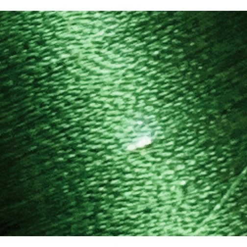 台孟牌 迷你 功能線 #40 高級縫紉線 22色 台灣製造 不透明 尼龍線 魚竿線 綁釣竿 車縫 手縫 刺繡 拼布 電繡-規格圖11