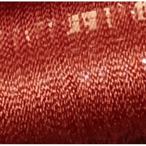 台孟牌 迷你 功能線 #40 高級縫紉線 22色 台灣製造 不透明 尼龍線 魚竿線 綁釣竿 車縫 手縫 刺繡 拼布 電繡-規格圖11