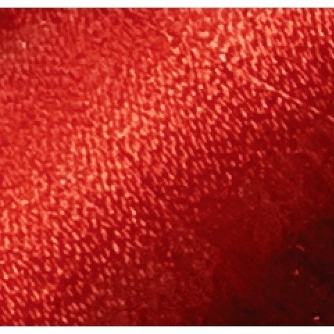 台孟牌 迷你 功能線 #40 高級縫紉線 22色 台灣製造 不透明 尼龍線 魚竿線 綁釣竿 車縫 手縫 刺繡 拼布 電繡-規格圖11