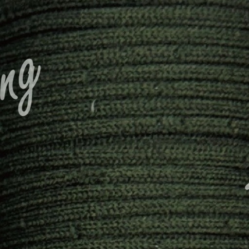 台孟牌 細蓬繩 3mm 20色 台灣製造 冰島毛線 絨毛 灌芯棉 編織 粗線條 鈎針 Q彈 鹿角蕨 上板 Macrame-規格圖11