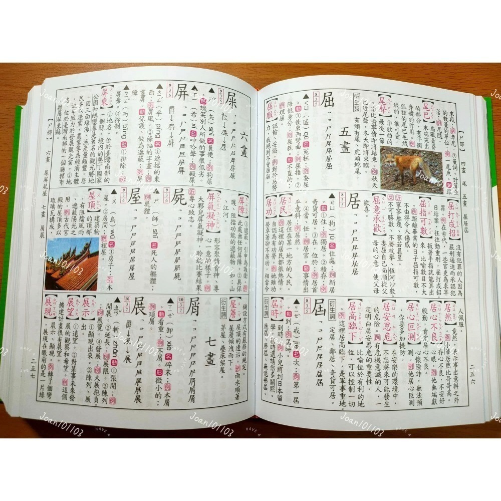 《兔媽咪》【現貨快速出貨】(25K)世一-彩色新編國語辭典(綠)-細節圖3