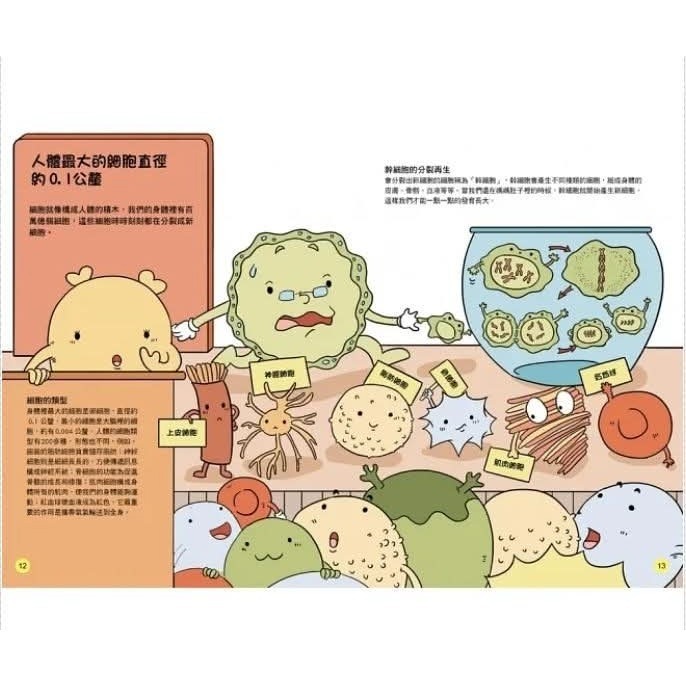《兔媽咪》【現貨】双美-STEAM圖解百科：人體、宇宙-細節圖4