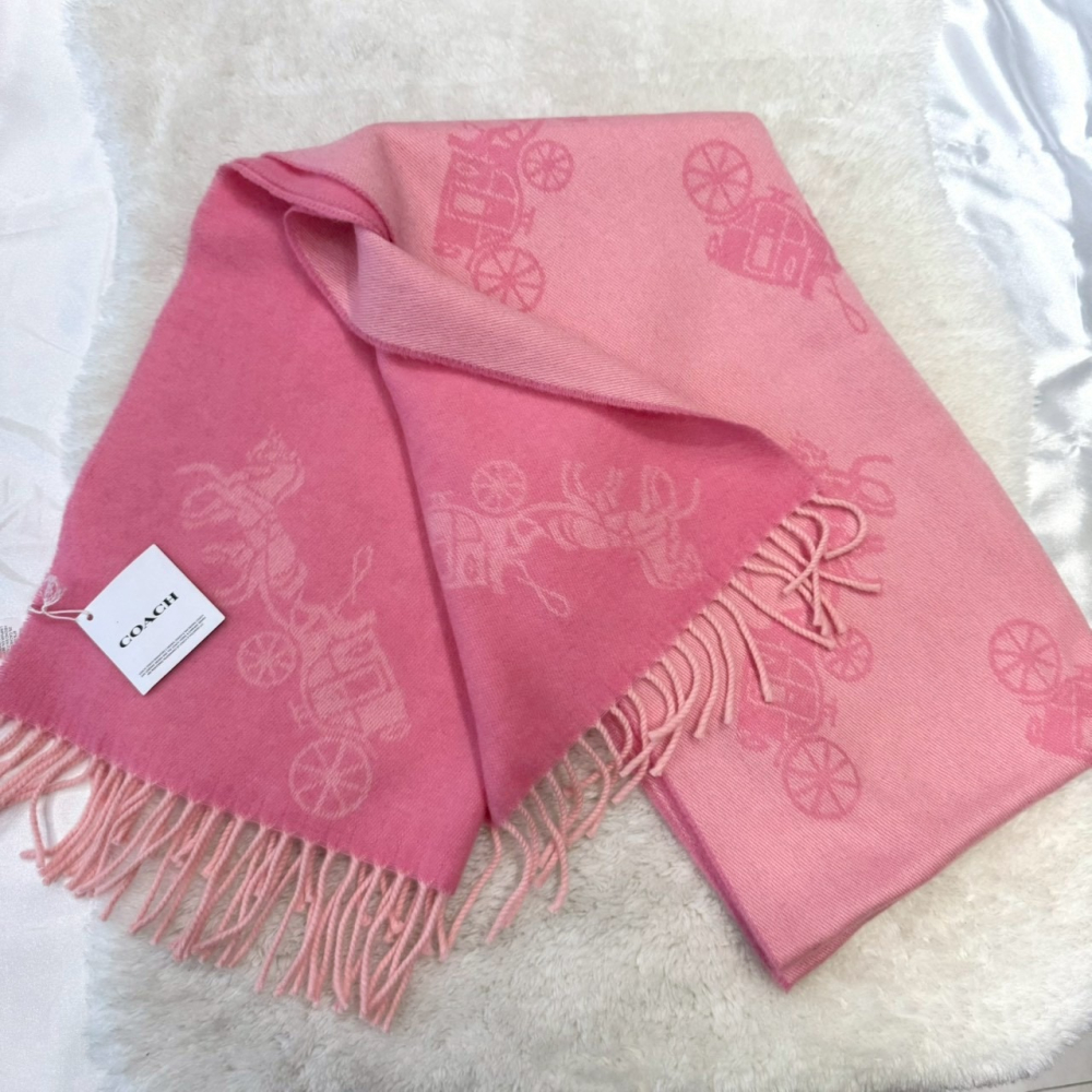 【蔻馳｜全新】現貨 COACH 圍巾 滿版 馬車 雙面用 羊毛 圍脖 送禮推薦｜Little Bee 小蜜蜂精品-細節圖2