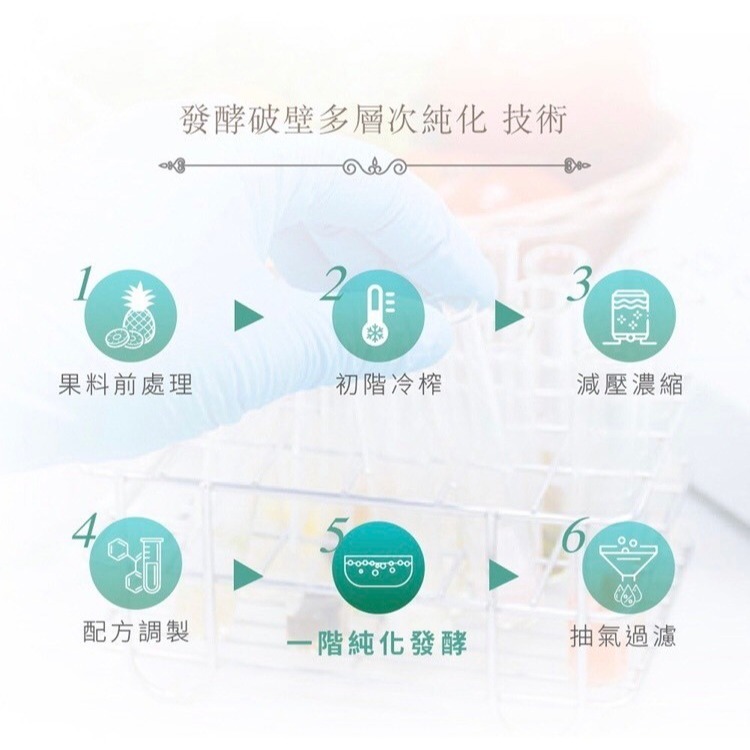 【派康斯】98種蔬果酵素x天然酵母B群-細節圖6