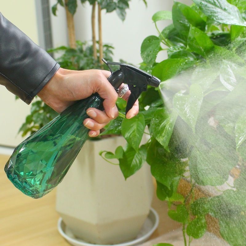 600ml園藝噴瓶 酒精噴壺 噴霧罐-細節圖4