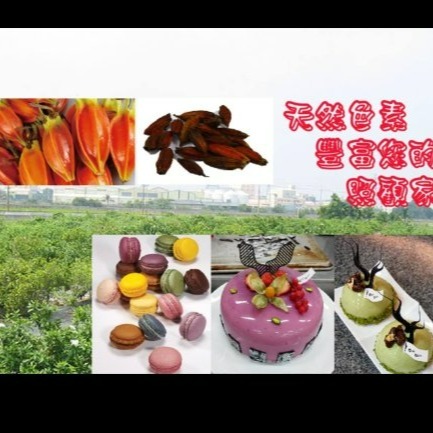 【嚴選SHOP】台灣采鴻 純天然 食用色素 原廠單包販售 天然色素粉 天然色粉 蛋白霜饅頭餅乾馬卡龍糖霜粉【Z015】-細節圖2