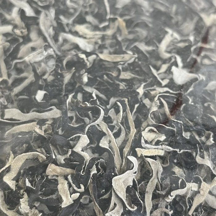 【嚴選SHOP】黑木耳絲 特選黑木耳絲 高品質 600g/包 木耳絲 黑木耳絲 黑木耳 木耳 越南/泰國【Z226】-細節圖3