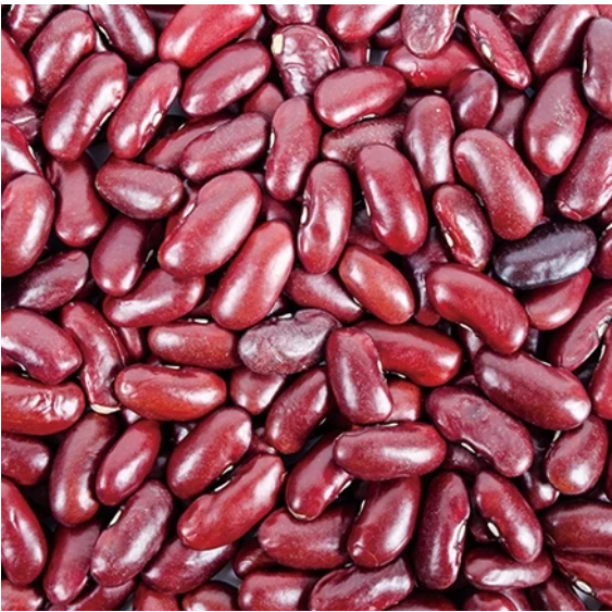 【嚴選SHOP】Spigadoro 義大利豆罐 (鷹嘴豆/紅腰豆/茄汁焗豆) 400g/罐 埃及豆【Z478】素食-細節圖7