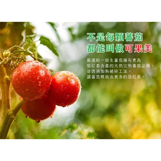 【嚴選SHOP】可果美蕃茄醬 柔軟瓶 300g/500g 蕃茄醬 番茄醬 純素 素食【Z405】-細節圖3