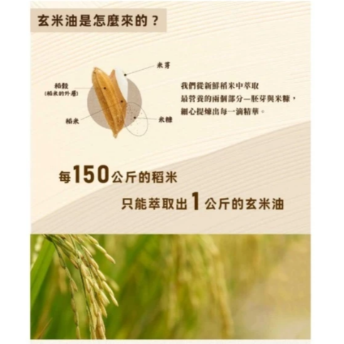 【嚴選SHOP】河洛 嚴選玄米油 1000ml 米糠油 米油食用油 料理油 高發煙點油 煎、炒、炸 調味油【Z783】-細節圖3