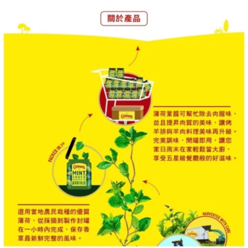 【嚴選SHOP】英國 Colman＇s薄荷葉醬165g/罐薄荷醬羊排醬Mintsauce薄荷調味羊肉去腥【Z693】-細節圖3