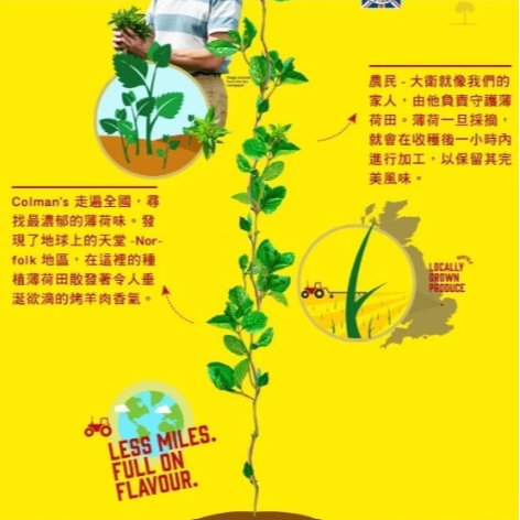 【嚴選SHOP】英國 Colman＇s薄荷葉醬165g/罐薄荷醬羊排醬Mintsauce薄荷調味羊肉去腥【Z693】-細節圖4