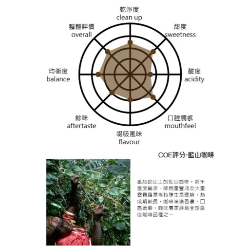 【嚴選SHOP】CASA卡薩特調咖啡豆系列 經典藍山/義式特調 卡薩義式特調(黑牌)中深焙咖啡豆 454g【Z653】-細節圖4