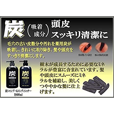 【現貨+發票】日本 純藥 JUNYAKU 炭 洗髮精 潤髮乳 藥用炭 竹炭 去油 消臭 深層清潔 保濕 600ml-細節圖3