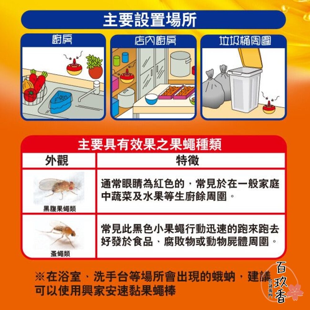 公司貨 興家安速 果蠅餌劑 果蠅誘捕盒 果蠅 蚤蠅 誘捕 夏日必備 補果蠅 地球製藥-細節圖5