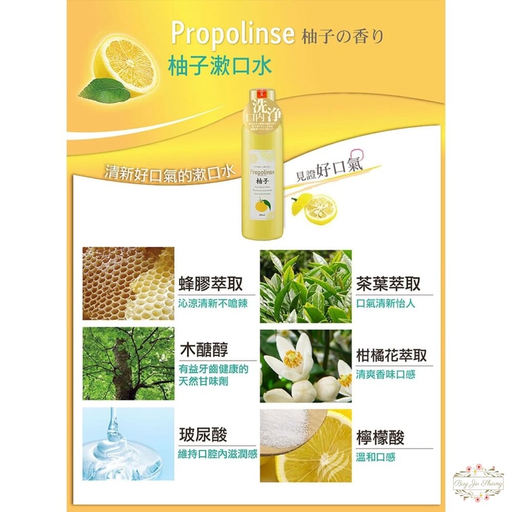 部分味道買一送一 日本 Propolinse 蜂膠漱口水 600ml 原味 口臭 清新 牙周病-細節圖5