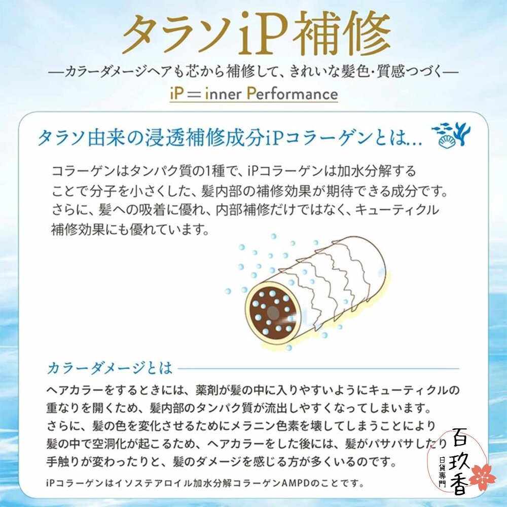 KOSE JE L'AIME 爵戀 極致氨基酸修護 RELAX 洗髮精 護髮乳 高絲 深層潤澤 無矽靈-細節圖7