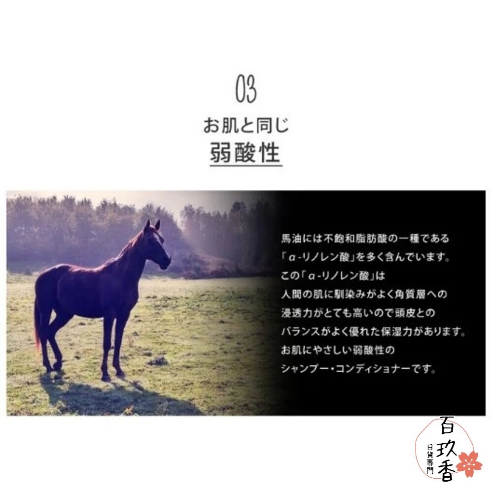 日本境內 熊野油脂 馬油 無矽靈 洗髮精 潤髮乳 沐浴乳 熊野 樁油 椰油 補充包-細節圖8