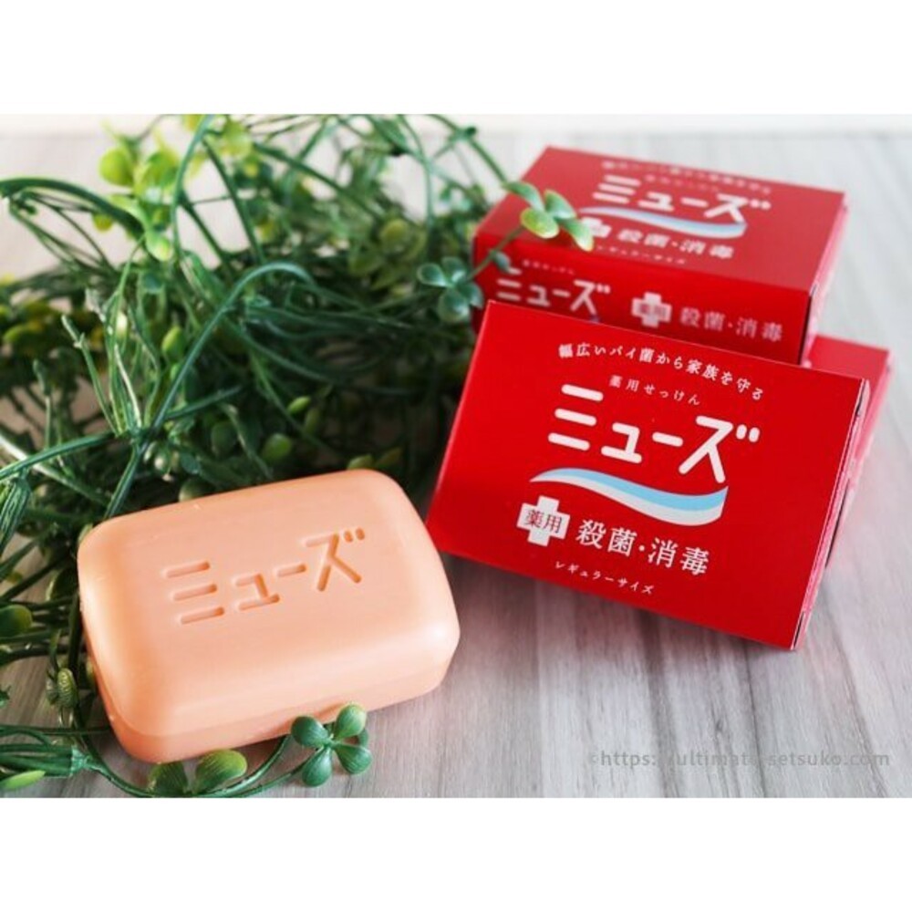 三入組-植物性香皂95g/個(紅盒)