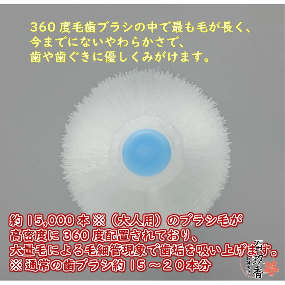 年中優惠買五送一★STB 蒲公英 360度 嬰兒牙刷 兒童 成人 軟毛 旋轉牙刷 幼兒 牙刷-細節圖2