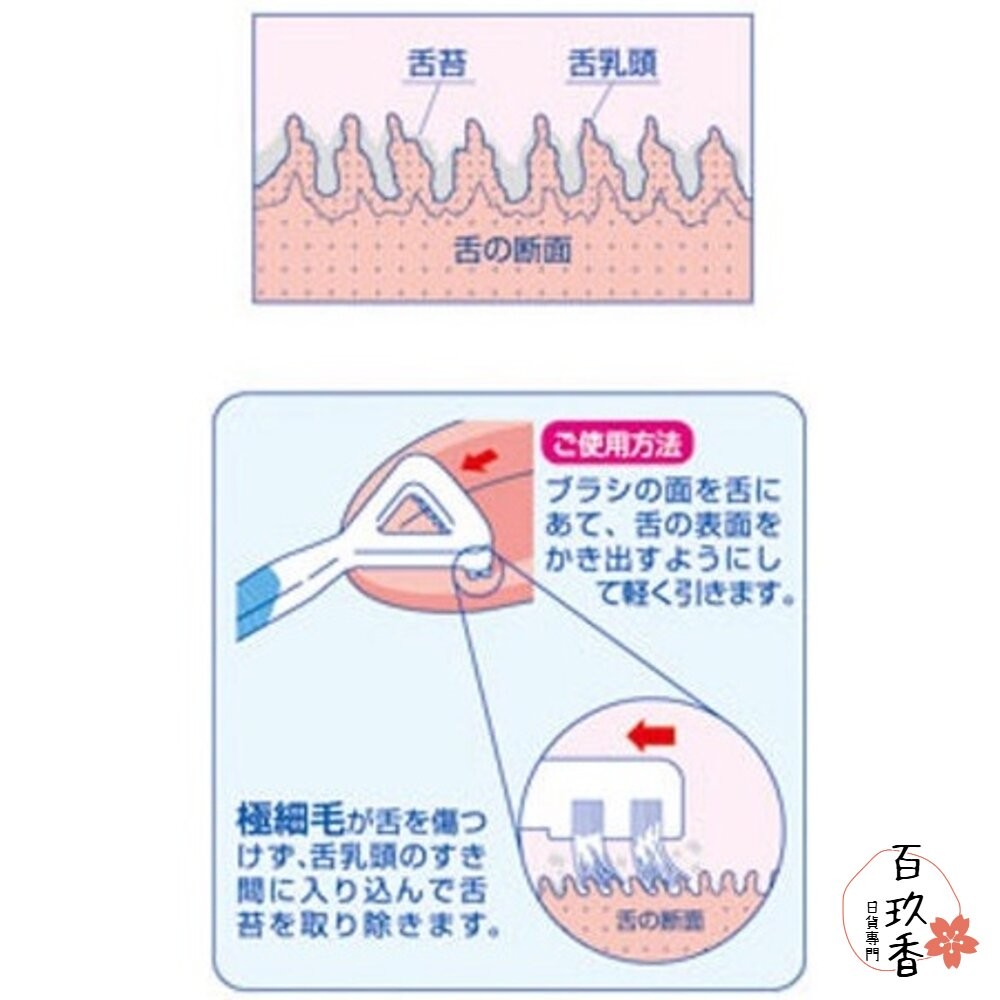 日本 EBiSU 惠百施 口臭對策 舌苔刷 舌苔清潔刷 舌苔清潔器 刮舌器 銀離子 Ag+ 刷毛 軟膠-細節圖5