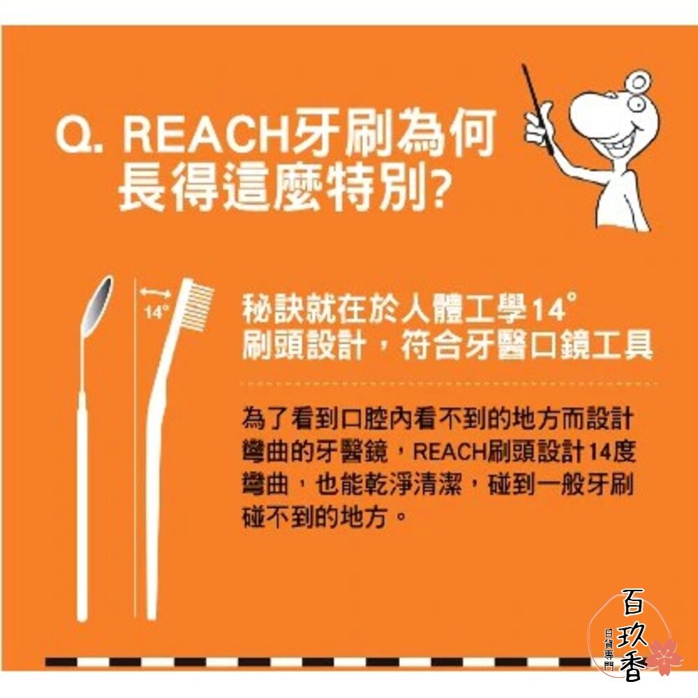 雙12買三送一★REACH 麗奇 成人牙刷 兒童牙刷 公主 皮卡丘 牙周對策 臼齒護理 蜂膠 3.5mm-細節圖3