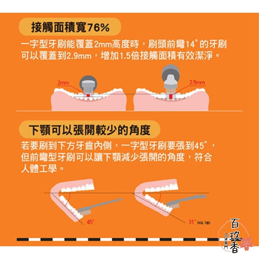 雙12買三送一★REACH 麗奇 成人牙刷 兒童牙刷 公主 皮卡丘 牙周對策 臼齒護理 蜂膠 3.5mm-細節圖5