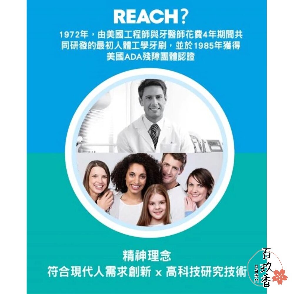 雙12買三送一★REACH 麗奇 成人牙刷 兒童牙刷 公主 皮卡丘 牙周對策 臼齒護理 蜂膠 3.5mm-細節圖6