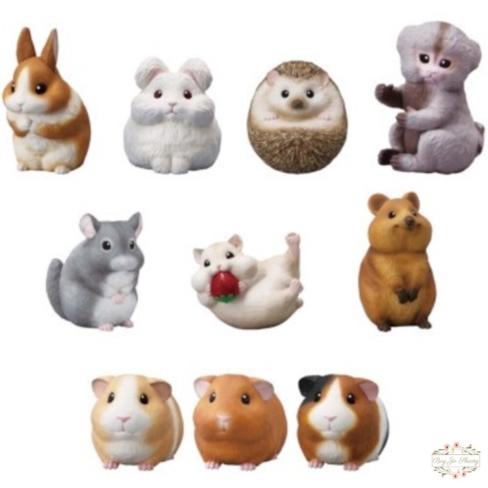 萬代 BANDAI 盒玩 兩棲爬蟲類 海洋好朋友 掌上鸚鵡 掌上好朋友 手乘朋友們 刺蝟 軟膠公仔-細節圖2