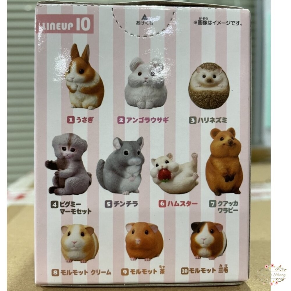 萬代 BANDAI 盒玩 兩棲爬蟲類 海洋好朋友 掌上鸚鵡 掌上好朋友 手乘朋友們 刺蝟 軟膠公仔-細節圖3