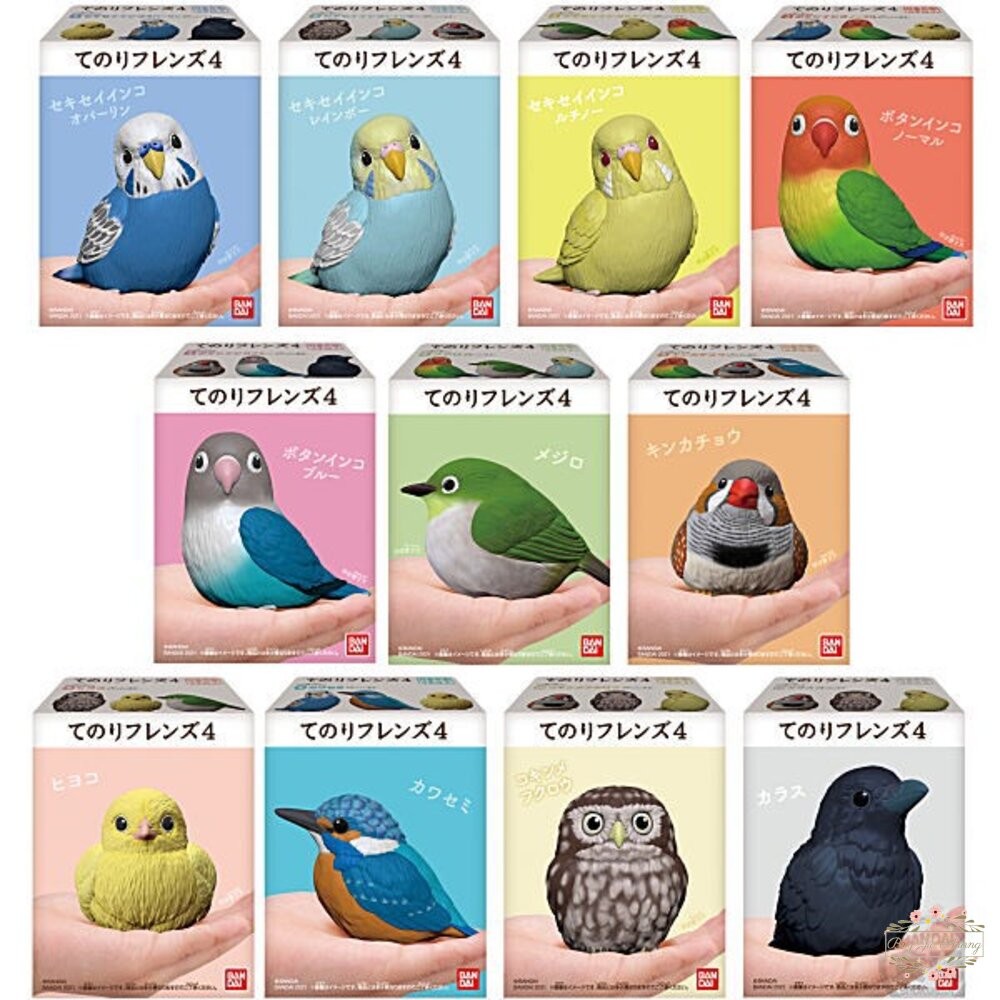 萬代 BANDAI 盒玩 兩棲爬蟲類 海洋好朋友 掌上鸚鵡 掌上好朋友 手乘朋友們 刺蝟 軟膠公仔-細節圖4